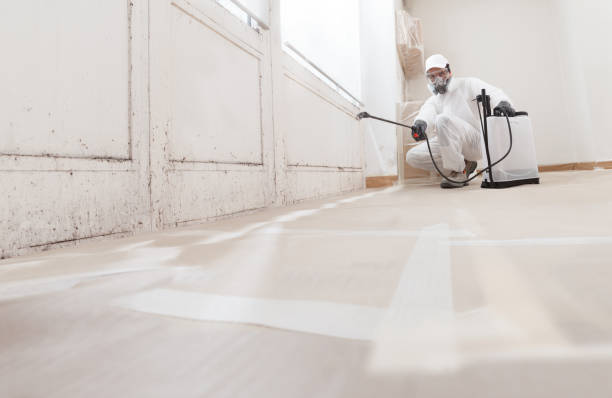 24/7 Emergency Mold Remediation experts in Pendleton, NC