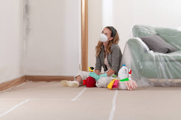 Reliable Mold Remediation contractor in Pendleton, NC by Cheap Mold Removal